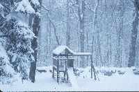 Late December blizzard buries our backyard.