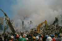 Rescue workers and cranes