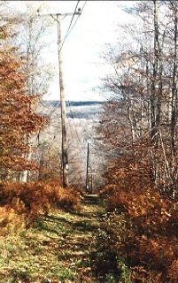 The Power Line Trail