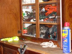 Raccoon in the cabinet.